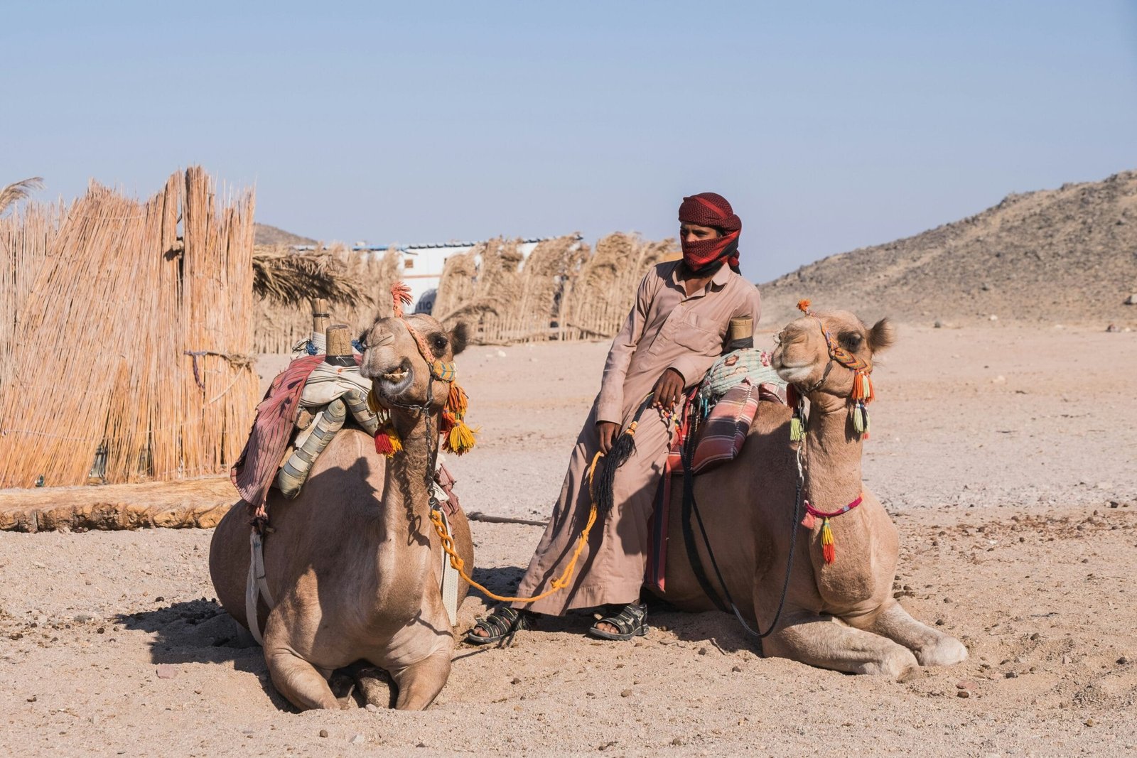 Meet The Nomads – Bedouin and Gypsies-img Meet The Nomads - Bedouin and Gypsies-img
